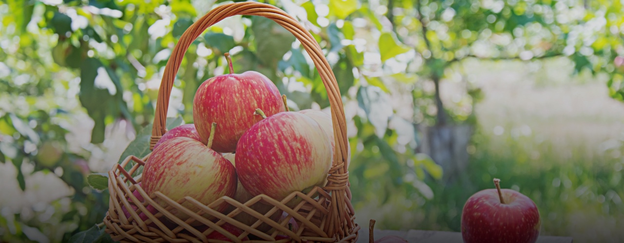 apple_banner
